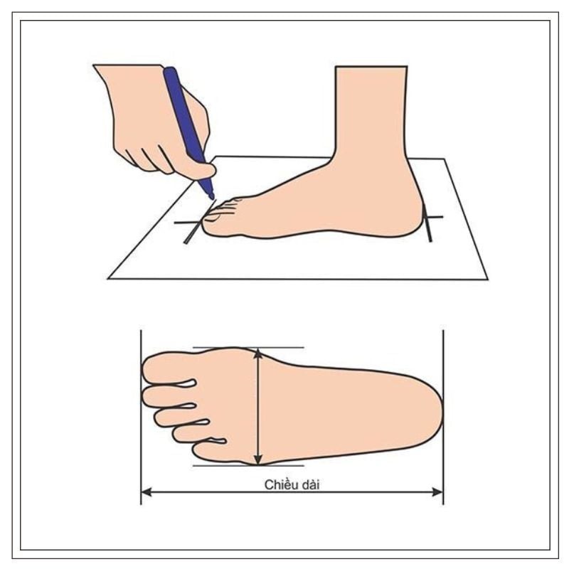 Hướng dẫn đo chân